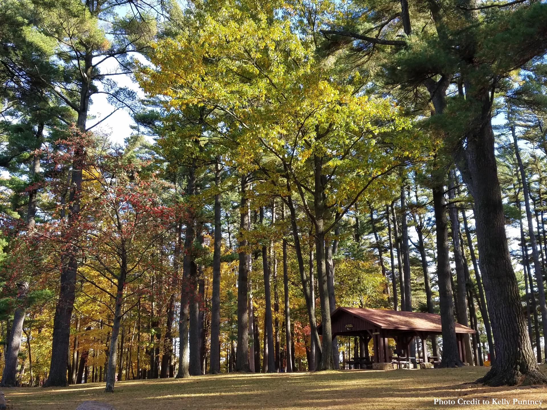 Park greenspace and shelter. Photo credit to Kelly Puntney
